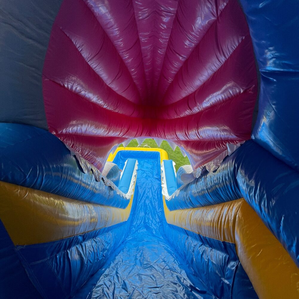 noleggio gonfiabili shark slide Gonfiabiland noleggio gonfiabili shark slide Gonfiabiland